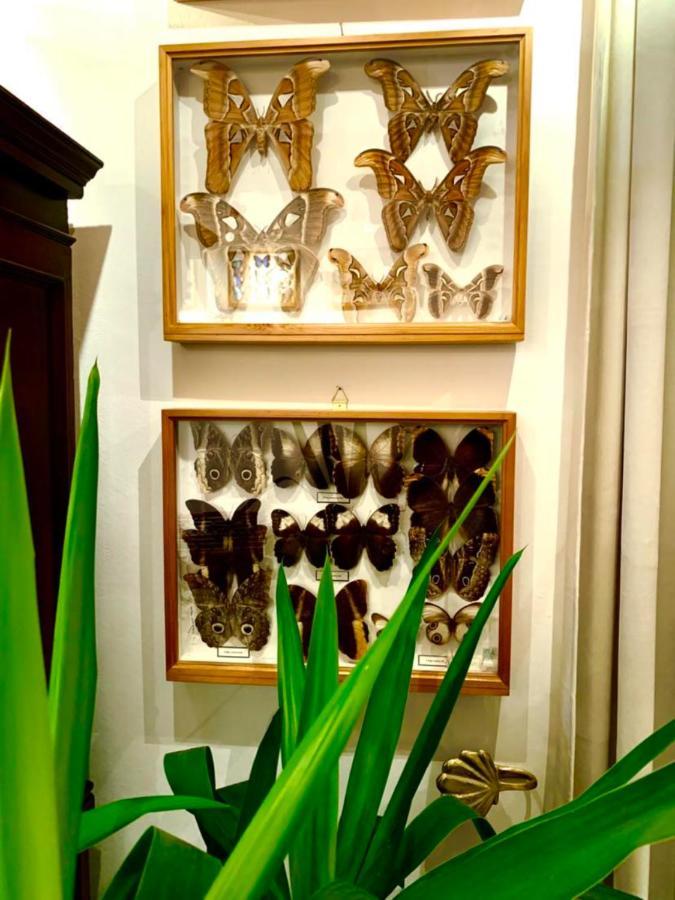 Villa Butterfly Budapest Bagian luar foto